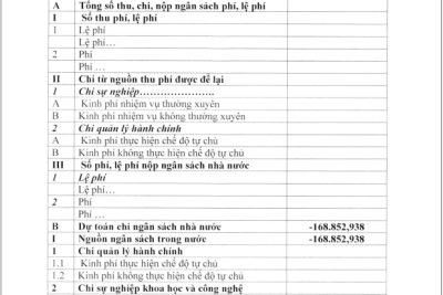 QUYẾT ĐỊNH VỀ VIỆC CÔNG BỐ CÔNG KHAI ĐIỀU CHỈNH PHÂN BỔ DỰ TOÁN CHI NGÂN SÁCH NHÀ NƯỚC NĂM 2024